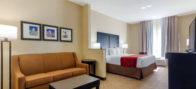 蒙哥马利伊斯特切斯舒适套房酒店(Comfort Inn & Suites Montgomery Eastchase)图片