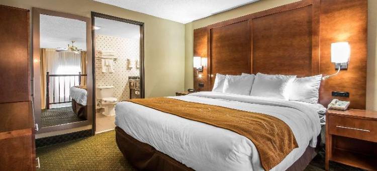 麦迪逊舒适套房酒店(Comfort Suites Madison West)图片