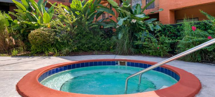 杰克逊维尔-贝梅多斯品质酒店及套房(Quality Inn & Suites Jacksonville-Baymeadows)图片