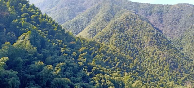 新舟2号客栈(杭州山沟沟店)图片