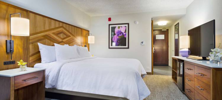 可爱岛威奴亚湾希尔顿花园酒店(Hilton Garden Inn Kauai Wailua Bay)图片