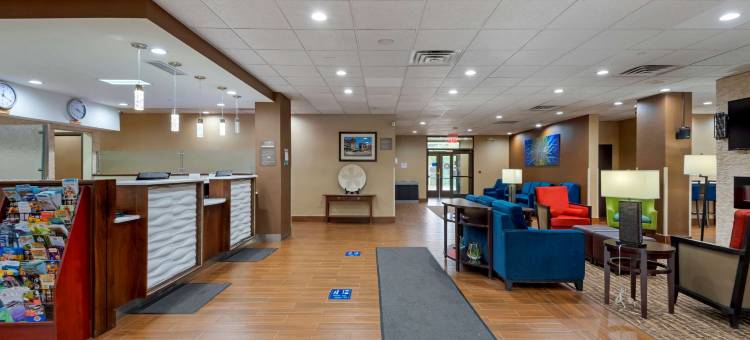 宾厄姆顿I-81舒适酒店(Comfort Inn Binghamton I-81)图片