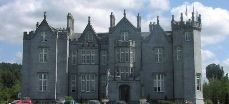 基尼缇城堡酒店(Kinnitty Castle Hotel)图片