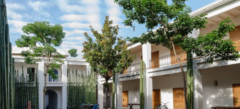 阿祖尔瓦哈卡酒店(Hotel Azul de Oaxaca)图片