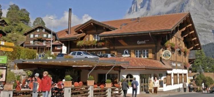 宝狮酒店(Hotel Steinbock Grindelwald)图片