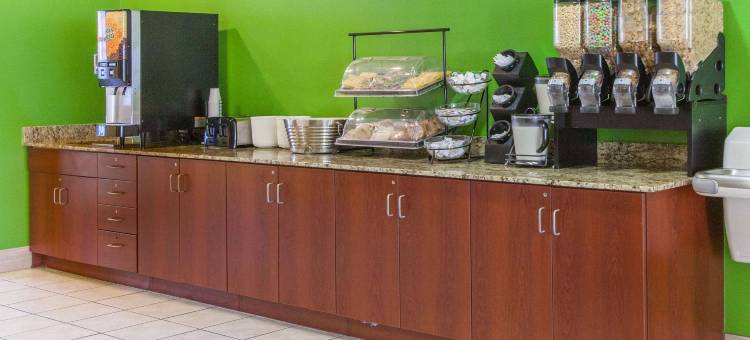 罗吉斯温德姆麦客达套房酒店(Microtel Inn & Suites by Wyndham Rogers)图片