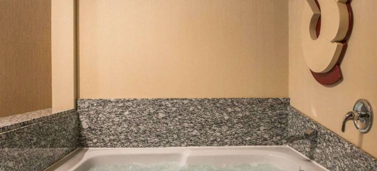 舒适套房酒店(Comfort Suites)图片