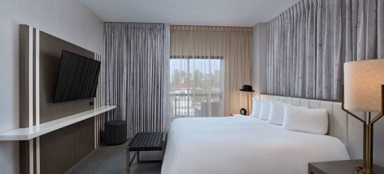 伍德兰斯凯悦尚萃酒店(Hyatt Centric the Woodlands)图片