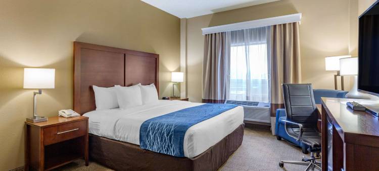 马丁斯堡舒适酒店(Comfort Inn Aikens Center)图片