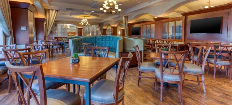 圣路易斯-切斯特菲尔德德鲁里广场酒店(Drury Plaza Hotel St. Louis Chesterfield)图片