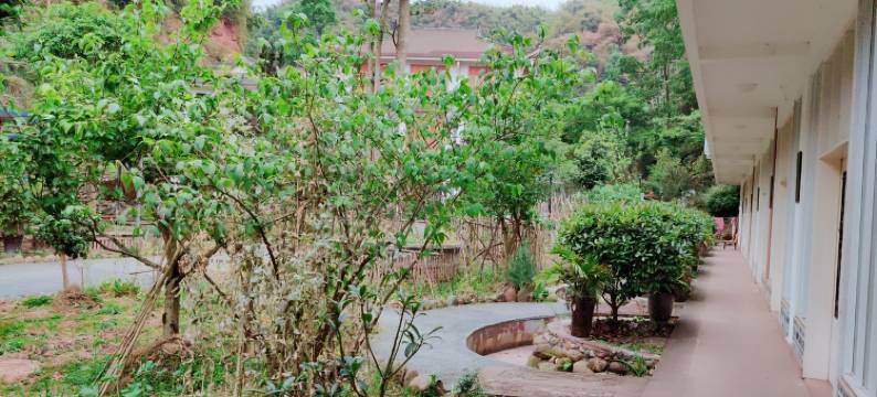 梨花休闲避暑山庄特色民宿(寿高路1号分店)图片