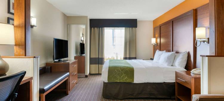 舒适套房酒店-史蒂文斯维尔圣约瑟夫(Comfort Suites Stevensville - St Joseph)图片