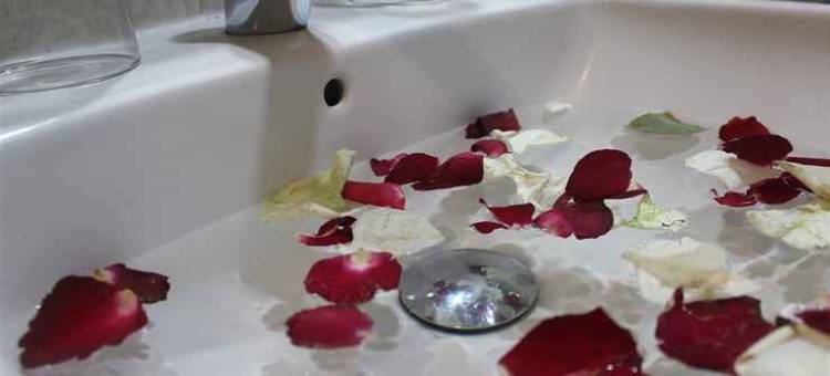 芝勒贡绿色酒店(Greenotel Cilegon)图片