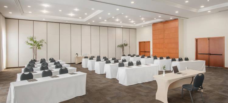 南卡希亚斯城际酒店(Intercity Caxias do Sul)图片