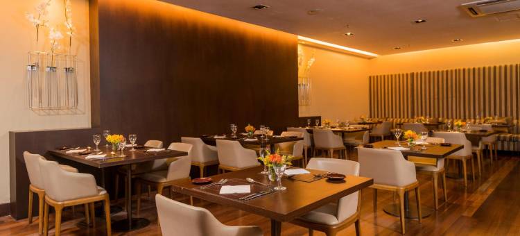 圣路易斯鲁泽洛斯酒店(Hotel Luzeiros São Luis)图片