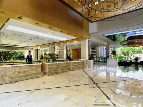 The Grand New Delhi Hotel Overview