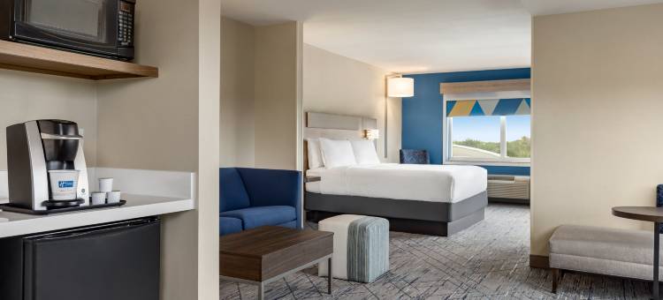 智选假日套房酒店皮尔斯堡西(Holiday Inn Express & Suites FORT PIERCE WEST by IHG)图片