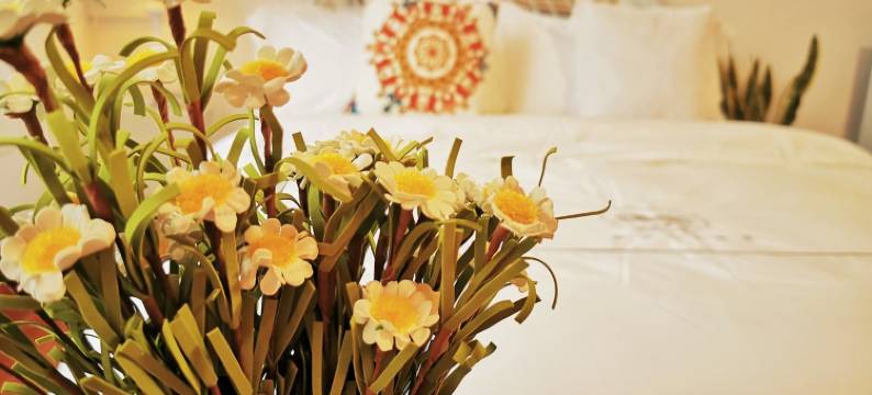 平武禅茶清谷民宿图片