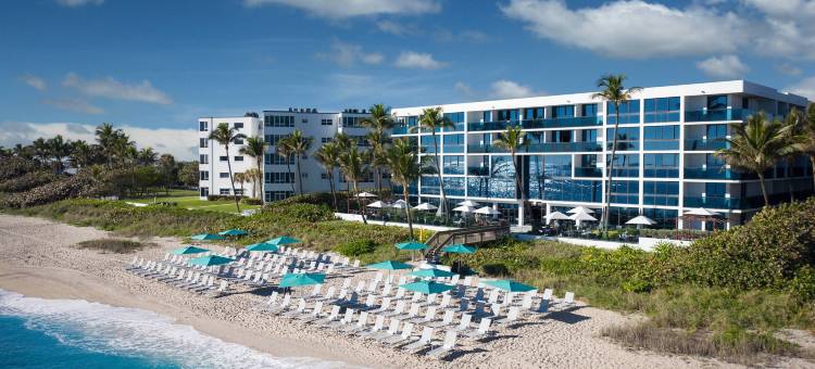 滨海棕榈海滩度假及水疗中心(Tideline Palm Beach Ocean Resort and Spa)图片