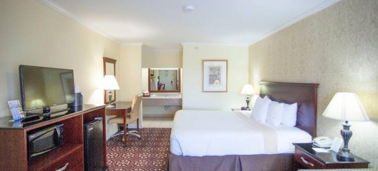 谢南多厄戴斯酒店(Days Inn by Wyndham Shenandoah)图片