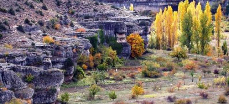 Biosfera Suites图片