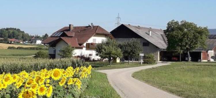 利普尼克公寓(Gästehaus Lipnik)图片