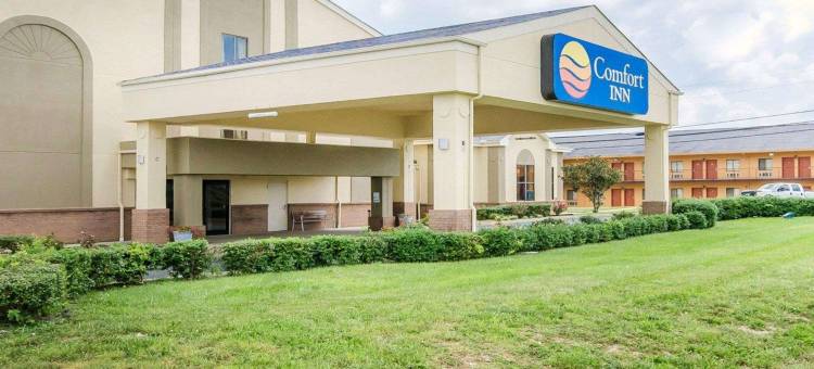 舒适酒店(Comfort Inn)图片