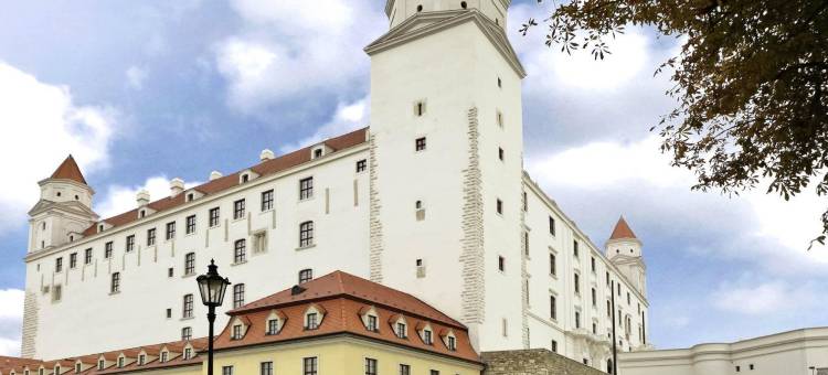 宜必思布拉迪斯拉发中心酒店(Ibis Bratislava Centrum)图片