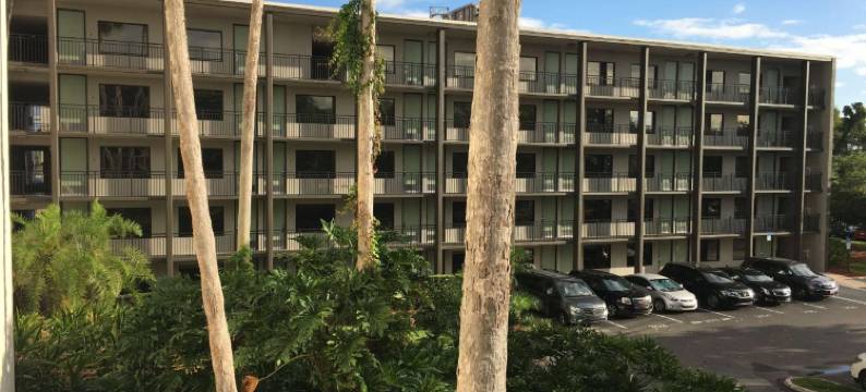 布埃纳维斯塔湖迪士尼清泉温德姆花园酒店(Wyndham Garden Lake Buena Vista Disney Springs® Resort Area)图片