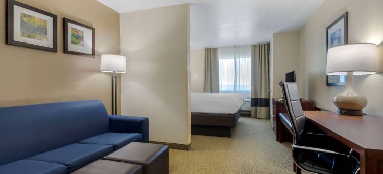 舒适套房酒店(Comfort Suites)图片