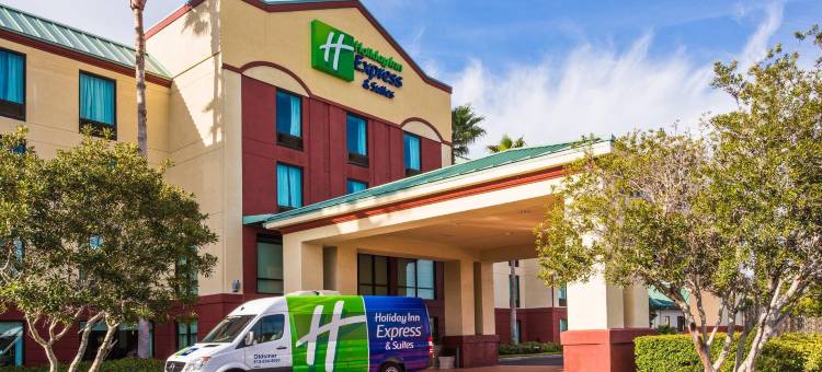 坦帕奥尔兹马智选假日酒店及套房(Holiday Inn Express & Suites TAMPA NORTHWEST-OLDSMAR by IHG)图片