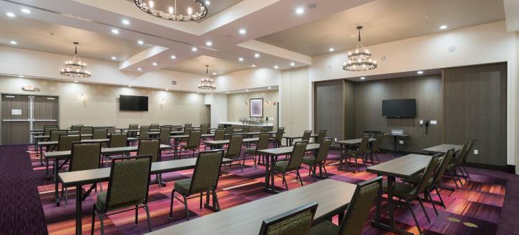 圣马科斯会展中心区域假日酒店(Holiday Inn San Marcos-Convention Ctr Area)图片