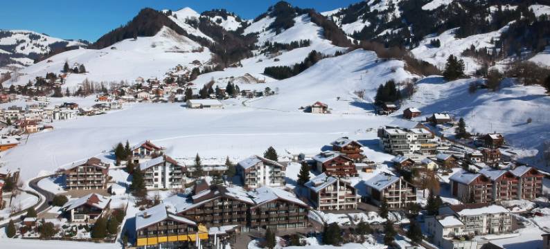 凯乐酒店(Hôtel Cailler & Bains de la Gruyère)图片