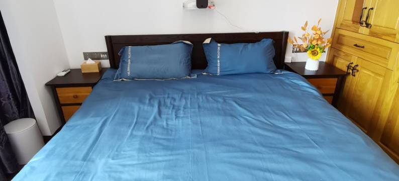 星海蔚蓝公寓(星海路分店)图片