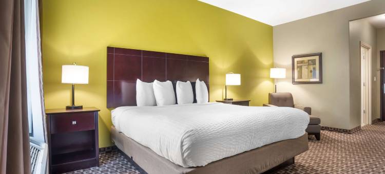 查尔梅特贝斯特韦斯特优质酒店(Best Western Plus Chalmette Hotel)图片