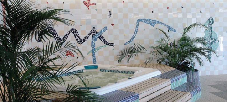 The Lince Braga(The Lince Braga)图片