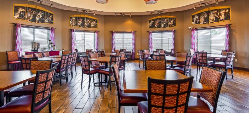 旋转木马贝斯特韦斯特优质套房酒店(Best Western Plus Carousel Inn  Suites)图片