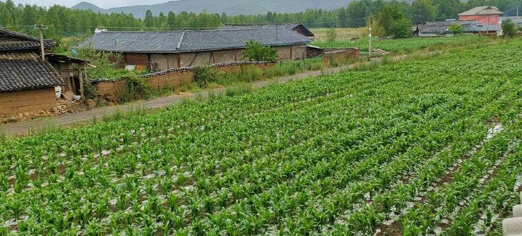 泸沽湖星辰山景别院图片