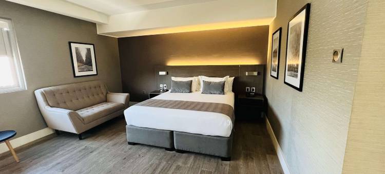 库里科丽笙酒店(Radisson Hotel Curico)图片