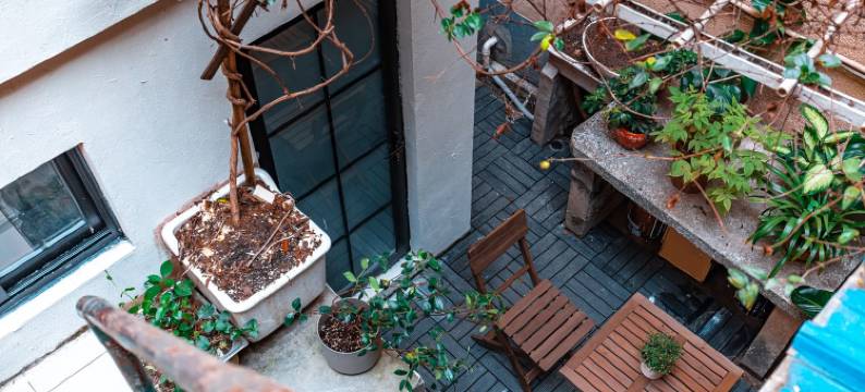 棒冰民宿(南昌路分店)图片