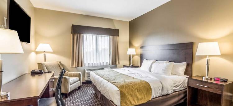 巴恩斯维尔-弗拉克维尔舒适套房酒店(Comfort Inn & Suites Barnesville - Frackville)图片