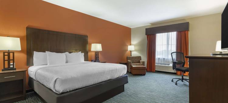 贝斯特韦斯特优质长角优质套房酒店(BestWestern Plus Luling Inn)图片