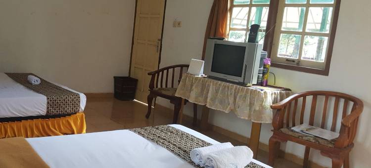普特里杜扬旅馆(Putri Duyung Guest House)图片