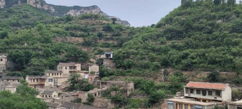 涉县好柿花笙民宿图片