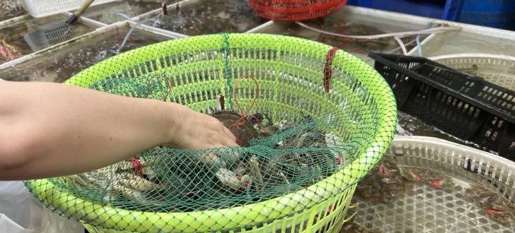 溪畔听风民宿(海峰路分店)图片