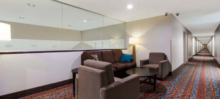 克恩尼斯威尔 I-40 舒眠酒店(Sleep Inn Kernersville I-40)图片