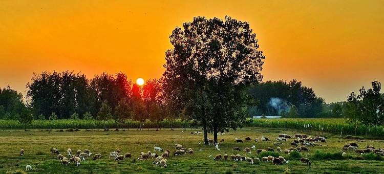 温泉别院刘民宿(温泉北路分店)图片