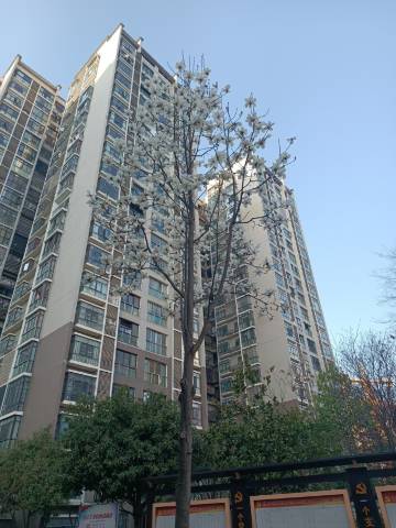 清雅轩民宿(天门山索道店)