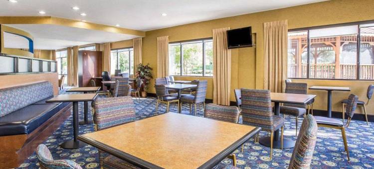 舒适套房酒店(Comfort Suites)图片