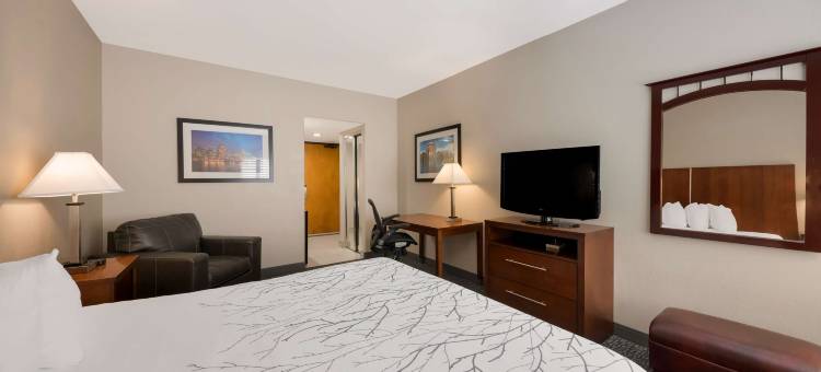 拉奈花园贝斯特韦斯特酒店(Best Western Lanai Garden Inn  Suites)图片